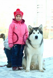 image (13).jpg (85.64 КБ, Просмотров: 3533) image (13).jpg