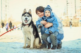 image (29).jpg (102.44 КБ, Просмотров: 3533) image (29).jpg