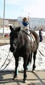 U11fF8JDT7Y.jpg (101.48 КБ, Просмотров: 3533) U11fF8JDT7Y.jpg