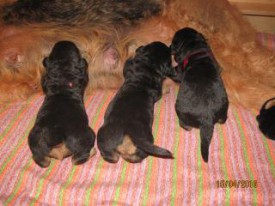 эн.jpg (16.49 КБ, Просмотров: 1853) эн.jpg