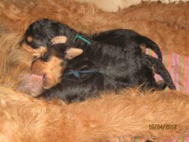 эн3.jpg (15.77 КБ, Просмотров: 1853) эн3.jpg