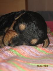 эн4.jpg (6.98 КБ, Просмотров: 1853) эн4.jpg