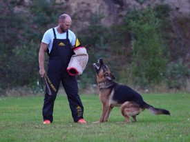 kNl2UCKUsP4.jpg (55.9 КБ, Просмотров: 3238) kNl2UCKUsP4.jpg