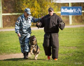 Tv_1fl9h0iU.jpg (90.93 КБ, Просмотров: 2712) Tv_1fl9h0iU.jpg