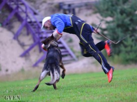 OYaMe5G8zhU.jpg (50.49 КБ, Просмотров: 2712) OYaMe5G8zhU.jpg