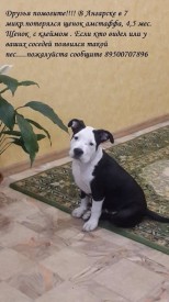 image (1).jpg (82.45 КБ, Просмотров: 1632) image (1).jpg