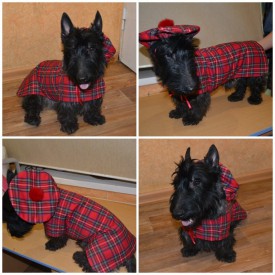 ю.jpg (145.62 КБ, Просмотров: 10848) ю.jpg