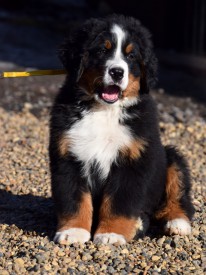 DSC_0394.jpg (254.18 КБ, Просмотров: 2274) DSC_0394.jpg