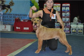 001323a738e2.jpg (38.66 КБ, Просмотров: 6556) 001323a738e2.jpg