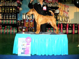 САСIB Е-бург09.jpg (83.66 КБ, Просмотров: 6556) САСIB Е-бург09.jpg