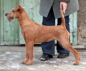 CT3219.jpg (97.03 КБ, Просмотров: 6020) CT3219.jpg