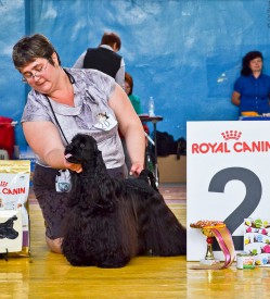 31.5.jpg (168.55 КБ, Просмотров: 1381) 31.5.jpg