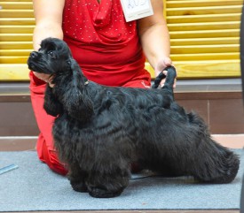 Куба.jpg (155.06 КБ, Просмотров: 1381) Куба.jpg