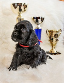 Ляля.jpg (398.26 КБ, Просмотров: 1450) Ляля.jpg