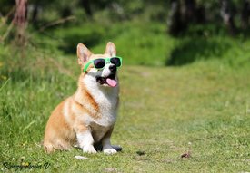 9cf1ab60a134a85a3993e54865fa3404.jpg (358.58 КБ, Просмотров: 26523) 9cf1ab60a134a85a3993e54865fa3404.jpg