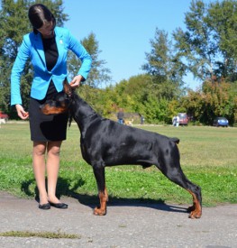 94397e95c99624034317c1d80cee6d12.jpg (96.09 КБ, Просмотров: 1605) 94397e95c99624034317c1d80cee6d12.jpg