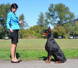 f5e2f03358133d824cee9154ba7edbe4.jpg (108.82 КБ, Просмотров: 1605) f5e2f03358133d824cee9154ba7edbe4.jpg