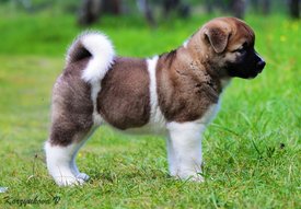 0a7582a935d9283ae6c0810881c12fce.jpg (392.2 КБ, Просмотров: 26523) 0a7582a935d9283ae6c0810881c12fce.jpg