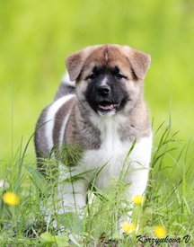 0db917951751964f7394b569a4cc1e97.jpg (173.92 КБ, Просмотров: 25954) 0db917951751964f7394b569a4cc1e97.jpg