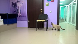 vjrYc8jYj_E.jpg (118.27 КБ, Просмотров: 3648) vjrYc8jYj_E.jpg