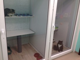 XU6sIyAKdNg.jpg (94.7 КБ, Просмотров: 3648) XU6sIyAKdNg.jpg