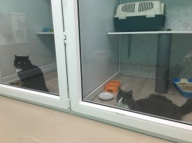 w7RIIV9qR8g.jpg (97.8 КБ, Просмотров: 3649) w7RIIV9qR8g.jpg