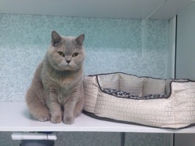 t2XWugUtAq8.jpg (133.94 КБ, Просмотров: 3648) t2XWugUtAq8.jpg