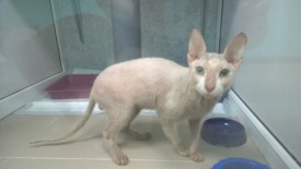 pzQ3USc-3uA.jpg (24.5 КБ, Просмотров: 3648) pzQ3USc-3uA.jpg