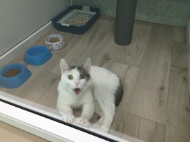 nUuFoPKN2qI.jpg (117.25 КБ, Просмотров: 3554) nUuFoPKN2qI.jpg