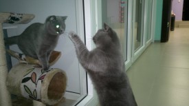 3mFZbxfOsDk.jpg (113.44 КБ, Просмотров: 3642) 3mFZbxfOsDk.jpg