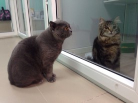 KsjMyfPX7kA.jpg (106.87 КБ, Просмотров: 3548) KsjMyfPX7kA.jpg