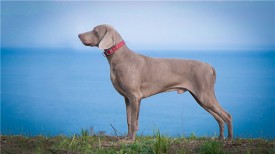 6ca34d87bb82.jpg (33.5 КБ, Просмотров: 1607) 6ca34d87bb82.jpg