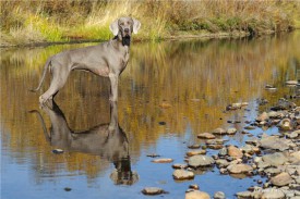 59f3efc3f007.jpg (77.96 КБ, Просмотров: 1607) 59f3efc3f007.jpg