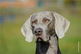 41f8f08eb506.jpg (32.61 КБ, Просмотров: 1607) 41f8f08eb506.jpg