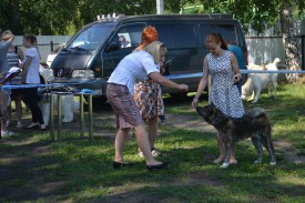 0-02-01-bded2b0a4b49c18417ceeb2bd47fbfca5bf73d697a72d56ca701d9819610c356_full.jpg (210.79 КБ, Просмотров: 10977) 0-02-01-bded2b0a4b49c18417ceeb2bd47fbfca5bf73d697a72d56ca701d9819610c356_full.jpg