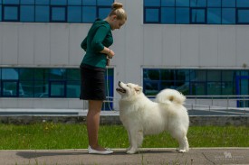 kNaKp7z0Jvk.jpg (169.79 КБ, Просмотров: 1569) kNaKp7z0Jvk.jpg