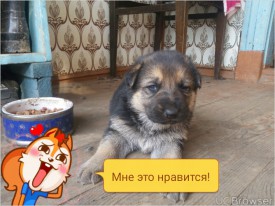 TMPDOODLE1475164603674.jpg (303.77 КБ, Просмотров: 1456) TMPDOODLE1475164603674.jpg