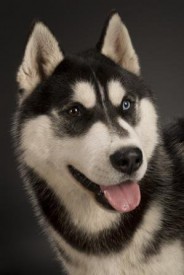 x_72d4cf89.jpg (21.71 КБ, Просмотров: 3504) x_72d4cf89.jpg