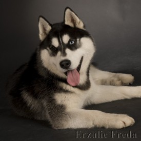 information_items_185.jpg (61.52 КБ, Просмотров: 3830) information_items_185.jpg