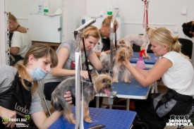 88.jpg (195.05 КБ, Просмотров: 3522) 88.jpg