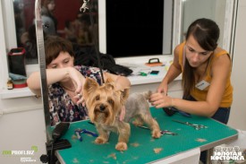 z9pkQ5wgFJM.jpg (170.09 КБ, Просмотров: 3422) z9pkQ5wgFJM.jpg