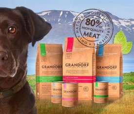 GOw7Jf0PCpY.jpg (90.97 КБ, Просмотров: 4807) GOw7Jf0PCpY.jpg