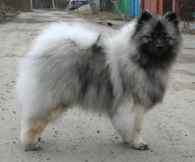 2.jpeg (54.99 КБ, Просмотров: 1788) 2.jpeg