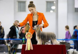 10734270_758931717518859_4628389805726779467_n.jpg (46.42 КБ, Просмотров: 13759) 10734270_758931717518859_4628389805726779467_n.jpg