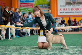 WvBMhgXsJ78.jpg (210.79 КБ, Просмотров: 13769) WvBMhgXsJ78.jpg