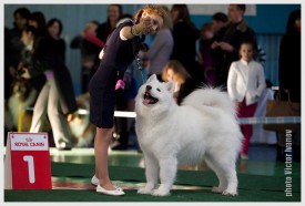 24.jpg (187.13 КБ, Просмотров: 13757) 24.jpg