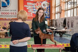 14632802_10211434632807950_3867175277034500189_n.jpg (81.2 КБ, Просмотров: 13695) 14632802_10211434632807950_3867175277034500189_n.jpg