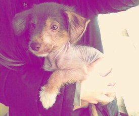 G4ws2SVRXNI.jpg (34.16 КБ, Просмотров: 3344) G4ws2SVRXNI.jpg