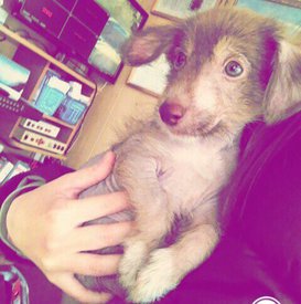 S4X5mOtF2MI (1).jpg (56.03 КБ, Просмотров: 3344) S4X5mOtF2MI (1).jpg