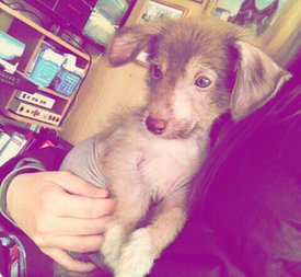 -YwaSjKRh18.jpg (52.16 КБ, Просмотров: 3344) -YwaSjKRh18.jpg